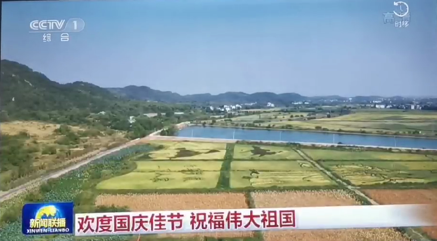 上央视-det365五彩稻田画，助力乡村振兴